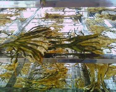 product-375-300 product-375-300