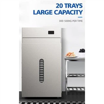 বৈদ্যুতিক স্টেইনলেস স্টীল ফল ডিহাইড্রেটর ওভেন