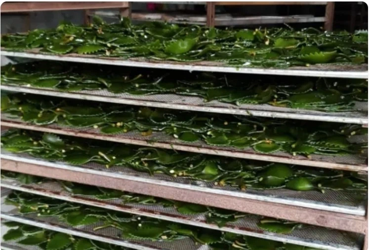 20240309231655 20240309231655